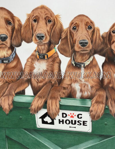 Buster,-Céline,-Lucca,-Megan,-Irish-Setters,-14-x-17-inches,-A3+