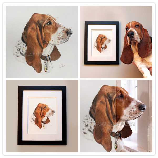 Dean-the-Basset-Hound-collage